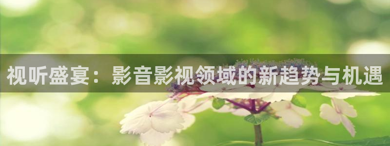 秋霞电影达达兔：视听盛宴：影音影视领域的新趋势与机遇
