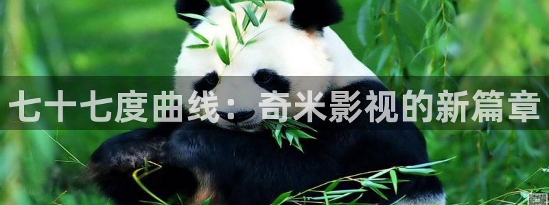 第九神马老子达达兔影院：七十七度曲线：奇米影视的新篇章