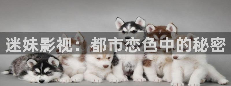 神马电影院达达兔：迷妹影视：都市恋色中的秘密