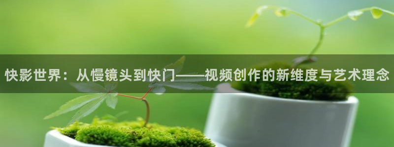 达达兔超神影院：快影世界：从慢镜头到快门——视频创作的新维度与艺术理念