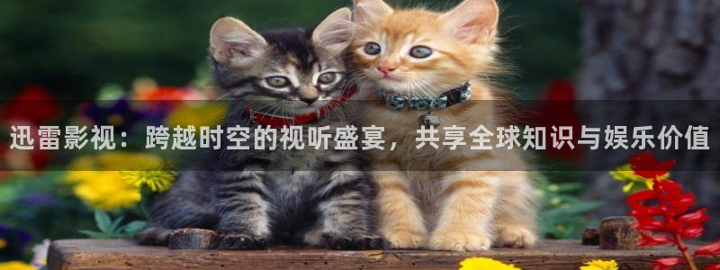 神马达达兔电影网：迅雷影视：跨越时空的视听盛宴，共享全球知识与娱乐价值